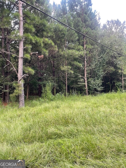 0 Main St Unit 10585681, Milner, GA 30257