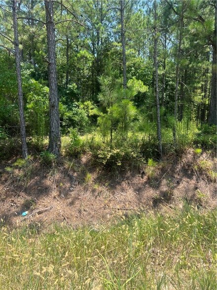 0 Lee Road 27 Unit 166234, Opelika, AL 36804
