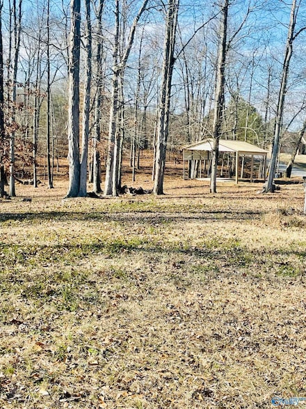 6 Acres County Road 459, Centre, AL 35960