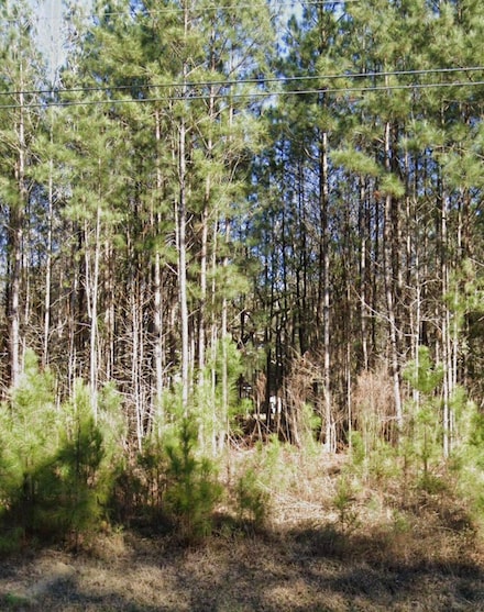 985 Appling Harlem Rd, Harlem, GA 30814