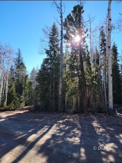 0 Meadow Ranch Dr, Duck Creek Village, UT 84762