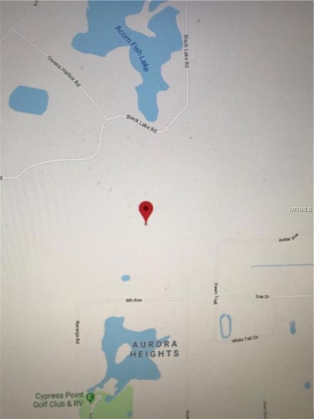 0 Eucalyptus Paper Ln Unit V4906208, Osteen, FL 32764