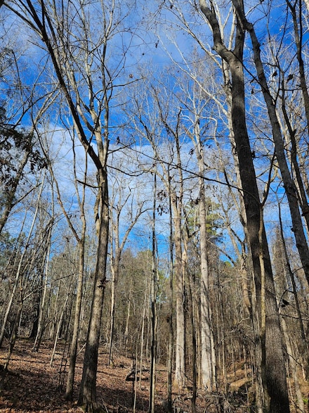 LOT 4 Elberton Hwy, Lincolnton, GA 30817
