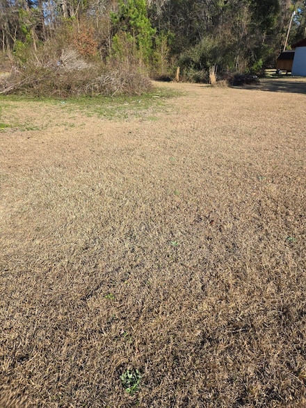 0 Bass Dr Unit 25005280, Holly Hill, SC 29059