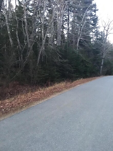 Lot 6 Gouldsboro Point Rd, Gouldsboro, ME 04607