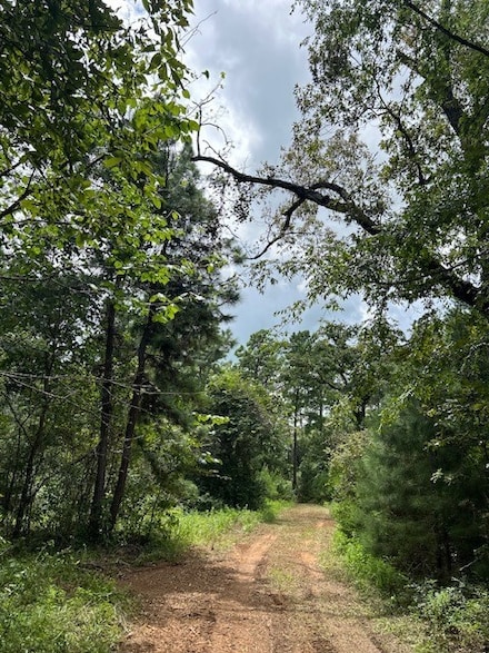 CR 307 Cr 307, Navasota, TX 77868