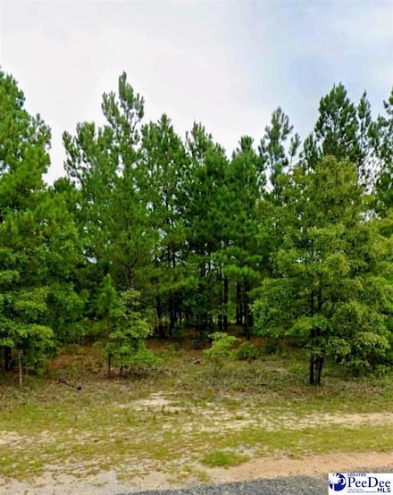 Lot 24 S Timberlake Ln, Hartsville, SC 29550