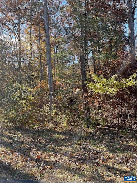 20 Chippewa Ln, Lake Monticello, VA 22963