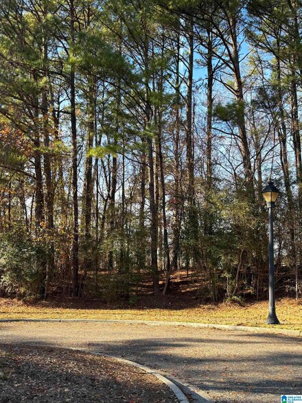 1001 Lake Point Ln Unit 2015, Hoover, AL 35244