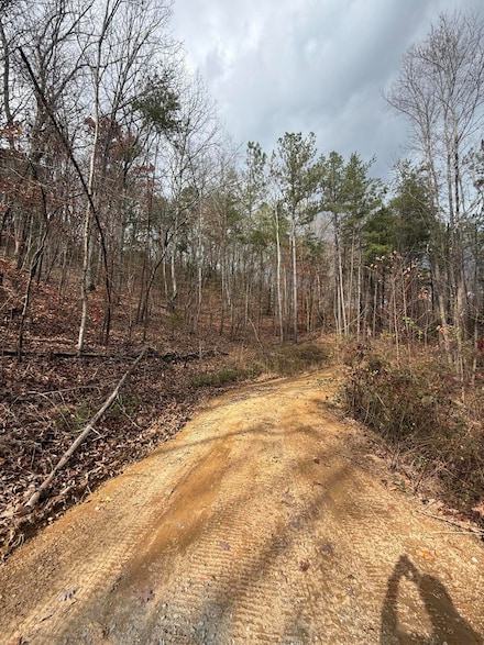 Lot 2 Parksville Rd, Benton, TN 37307