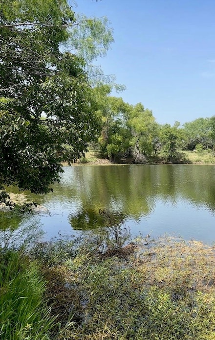 TBD 12.775 AC County Road 1205, Rio Vista, TX 76050