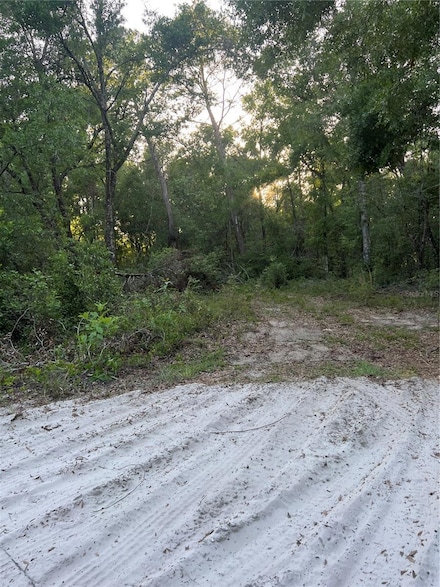 0 Havenwoods Rd, Shady Hills, FL 34610