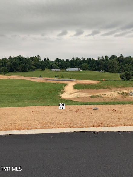 Lot 14 Steepleview Ct, Jonesborough, TN 37659