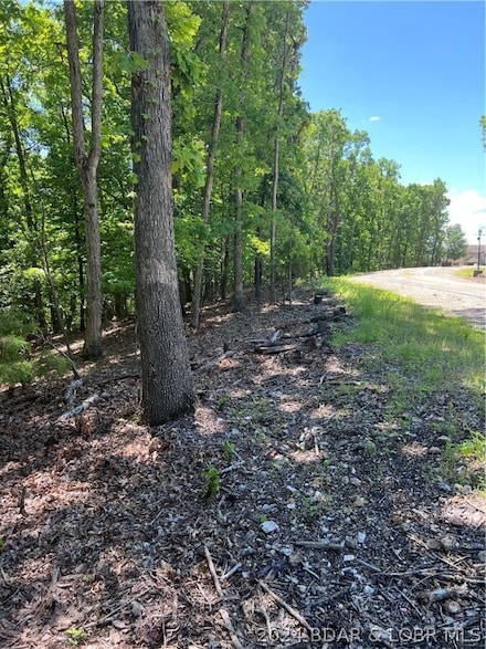 TBD Bluewater Ct, Village of Four Seasons, MO 65049