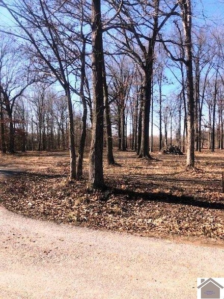 1925 Debby Dr, Paducah, KY 42003