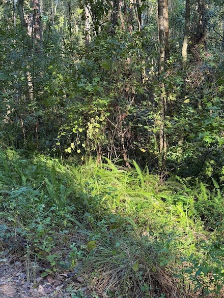 TBD SW 18th Place, Ocala, FL 34481