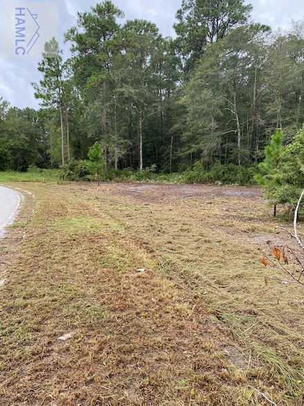 0 Peachtree Dr, Jesup, GA 31545
