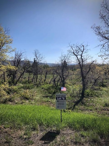 Lot 8 Spring Dr, Virgin, UT 84779