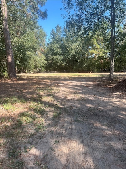 0 Witt Circle Rd Unit 39018485, Spring, TX 77373