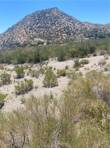 0 Farris Ranch Rd Unit SW25101394, Pinon Hills, CA 92372