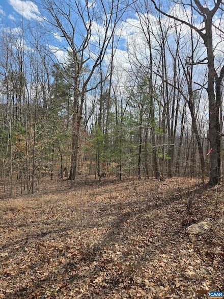Lot 41B Ed Jones Rd, Scottsville, VA 24590