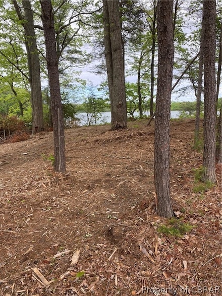 0000 Whittstat Ln, Heathsville, VA 22473
