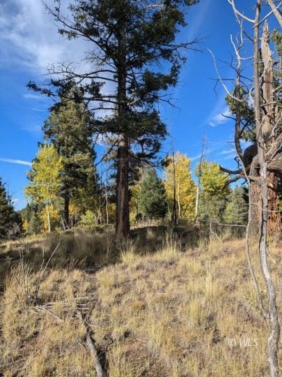 303 View Crest Way, Florissant, CO 80816