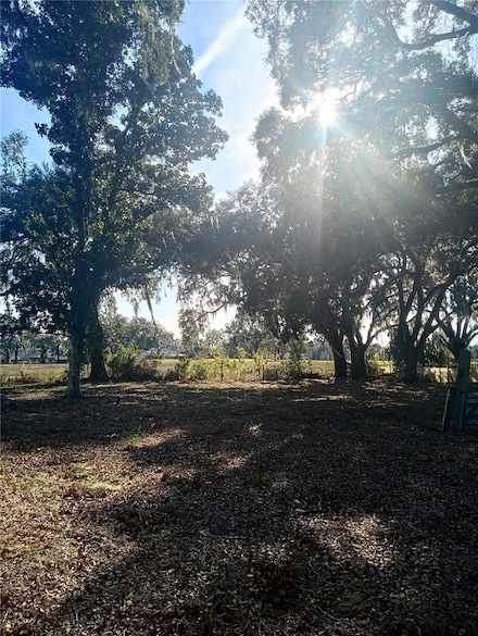 3355 County Road 207, Oxford, FL 34484