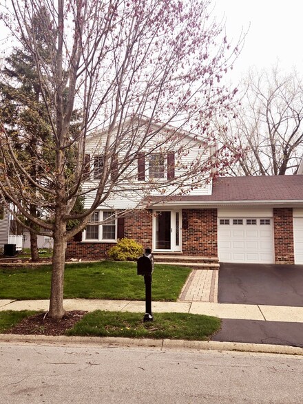 527 Grimes Ave, Naperville, IL 60565