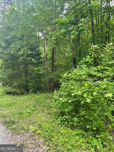 0 Mccormick Dr Unit 10509566, Dawsonville, GA 30534