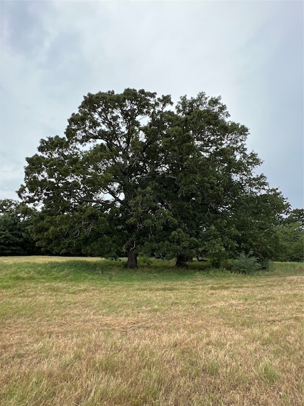 TBD County Road 3515, Dike, TX 75437