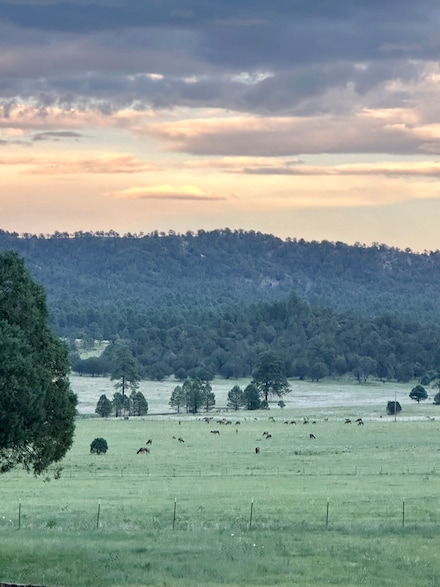 200 Meadow Ln, Mimbres, NM 88049