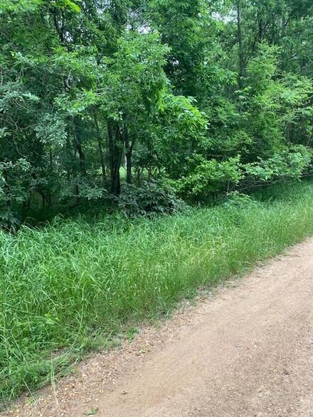 Lot 812 Kaukonahua Ln, Bastrop, TX 78602