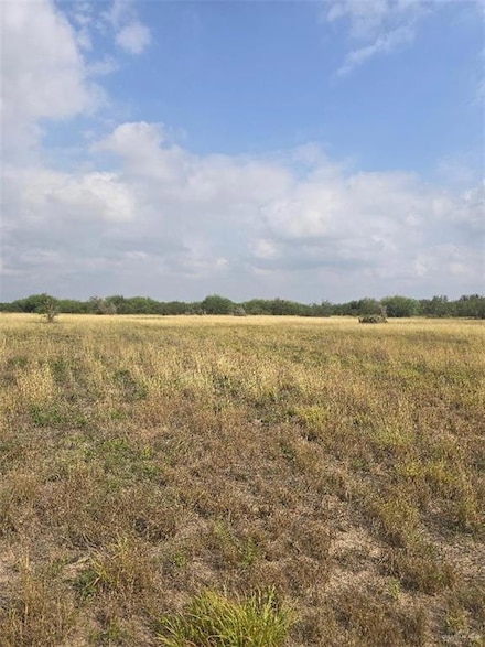 0000 Davis Rd, Edinburg, TX 78541
