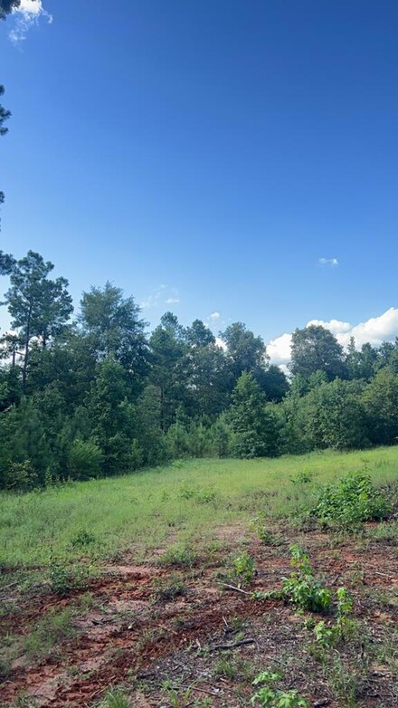 CR 4909 Tbd, Timpson, TX 75975