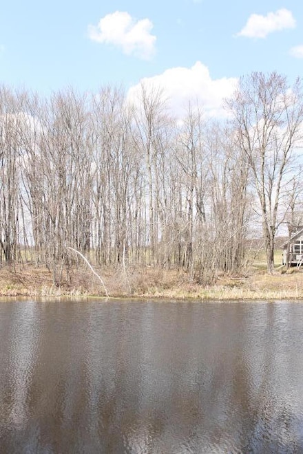 #31 Lake Shore Dr 31, Pocono Lake, PA 18347