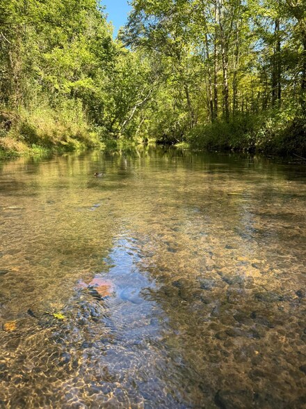 0 Shook Rd, Cascilla, MS 38920