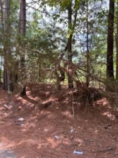 00 Bb Ln, Stonewall, LA 71078