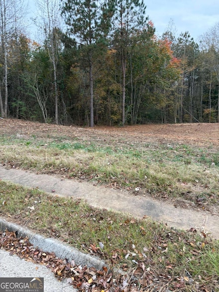 1105 Patriot Cir, McDonough, GA 30252