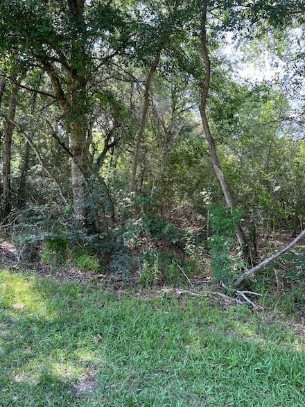 0 Peg Keller Rd, Abita Springs, LA 70420