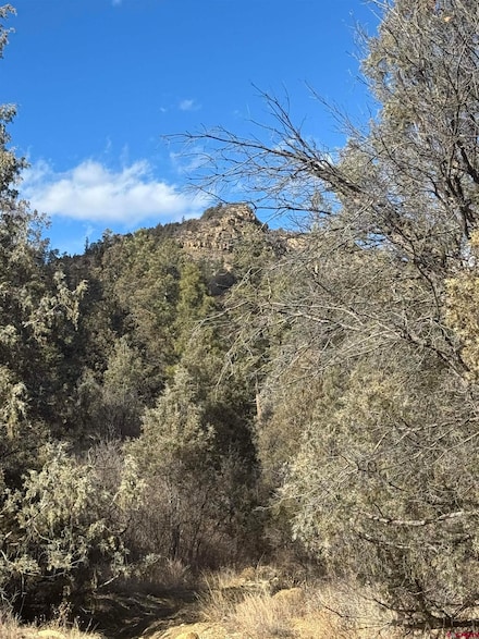 B3 L3 County Road 335, Pagosa Springs, CO 81147