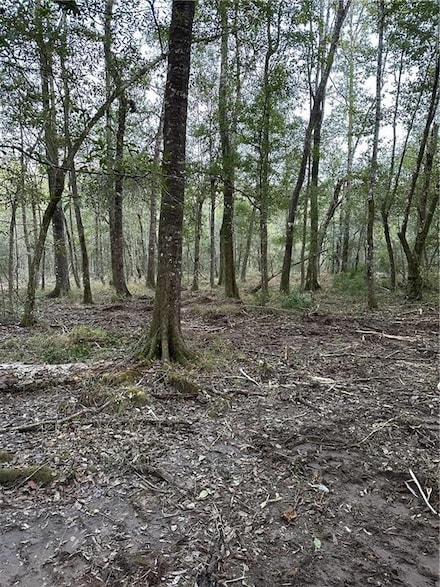 TBD W Dutch Rd, Franklinton, LA 70438