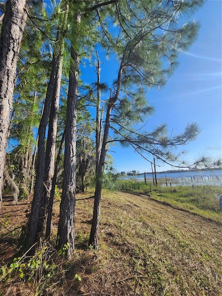 2332 Mitchell Island Rd, Deltona, FL 32738