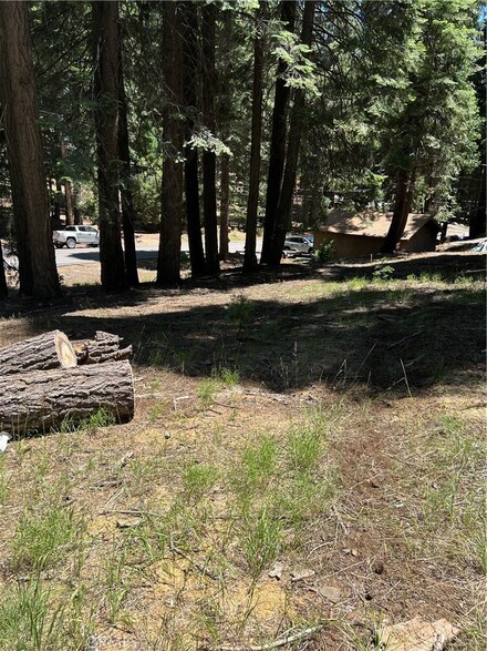 631 Cedar Canyon Rd, Lake Almanor, CA 96137