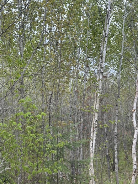 ON Long Shot Ln Unit 4093, Minocqua, WI 54548