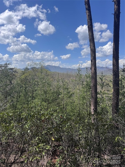 0 High Pines Loop Unit 162 CAR4243188, Lake Lure, NC 28746