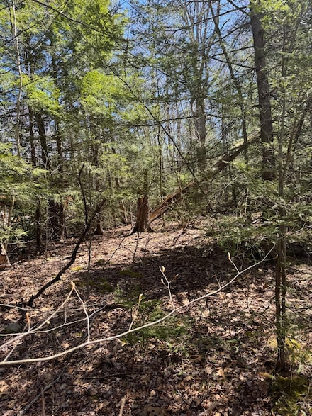 1411 Arthur Cir, Coolbaugh Township, PA 18466