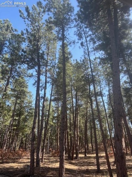 560 Princess Rd, Cripple Creek, CO 80813