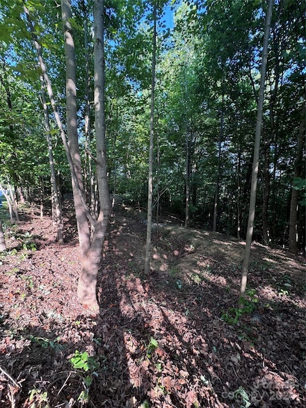 0 Holland Dr Unit 18 CAR4146725, Columbus, NC 28722