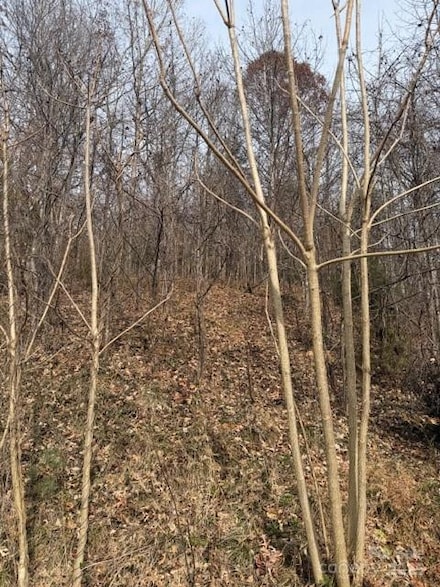 00 Yancey Rd, Marion, NC 28752